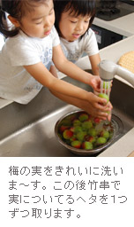キレイに洗いましょう〜