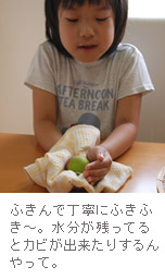 丁寧に梅の実を拭く
