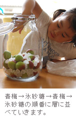 梅と氷砂糖を交互に入れて〜