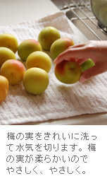 きれいに洗って水気をきります