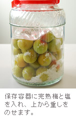 保蔵容器に梅と塩を入れて重しをする