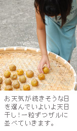 梅雨明け、いよいよ天日干しスタート