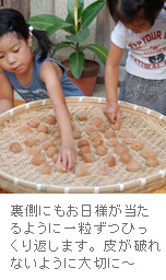 全体にまんべんなく日光があたるように