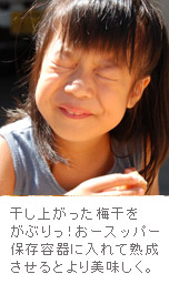 干し上がりはめちゃくちゃ酸っぱい&しょっぱい