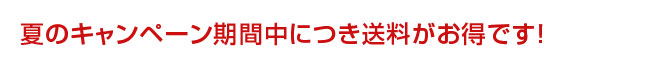 キャンペーン中は送料がお得!