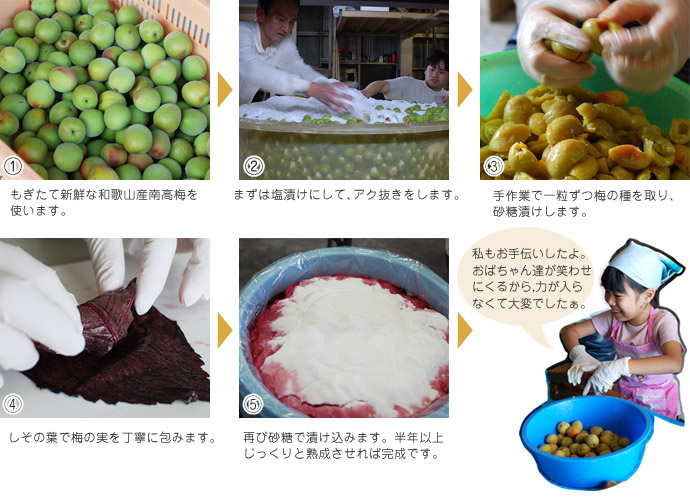 甘漬不老梅(しそ巻き梅)が出来るまで