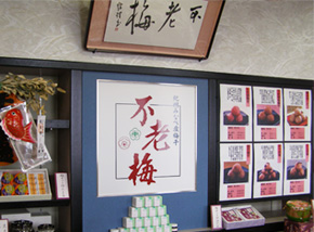 不老梅本舗の店舗です