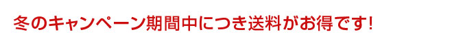 キャンペーン中は送料がお得!