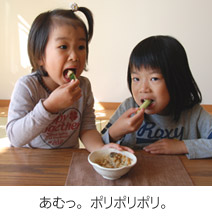 ポリポリポリ