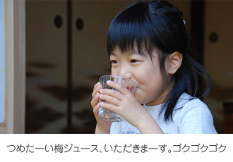 いただきまーす!