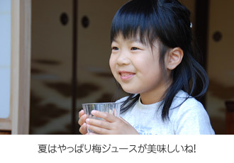 夏はやっぱり梅ジュースだね