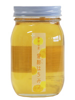 �ߤ���˪̪580��