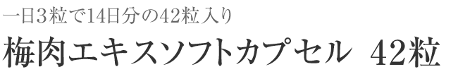 梅肉エキスソフトカプセル　42粒（約14日分）