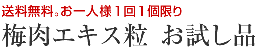 梅肉エキス粒31g（約140粒）お試し品